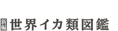 新編 世界イカ類図鑑　ウェブ版