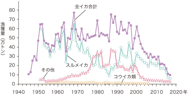 日本のイカ類漁獲量（農林水産統計から酒井光夫作製）